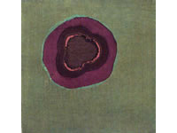 m.m-p0008