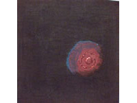 m.m-p0008
