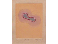 m.m-p0009