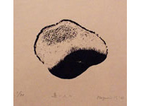 m.m-p0008